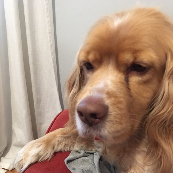 Meet your Posher, Katherine - Picture 1 of 1